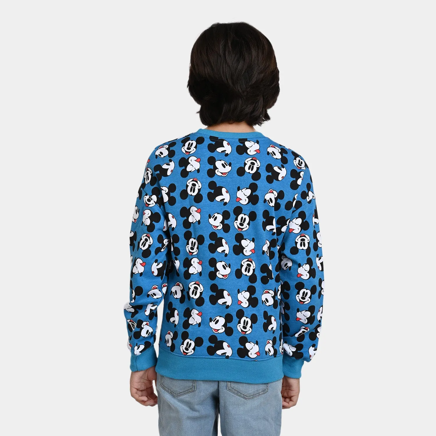 Boys Fleece Sweatshirt Character-Blue