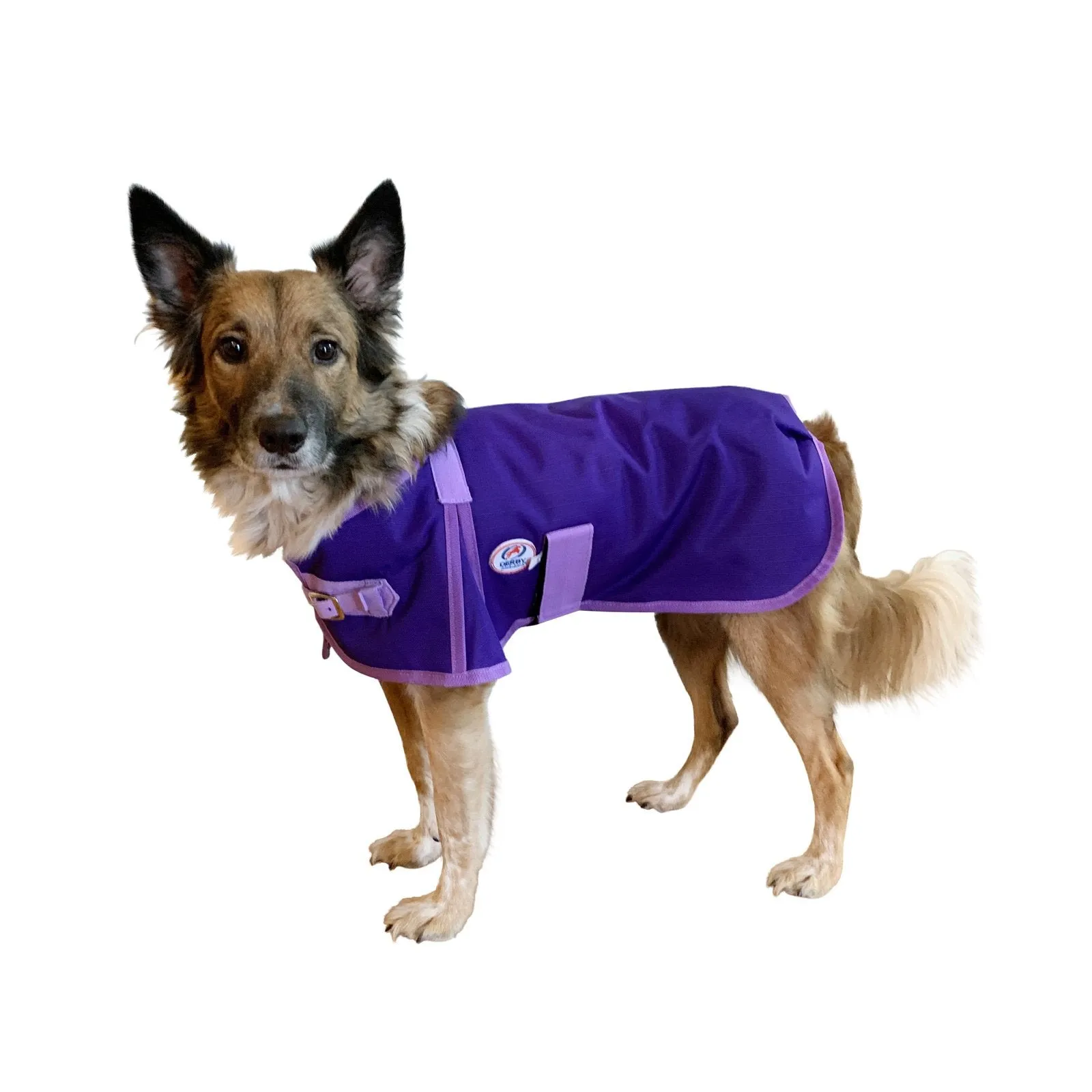 Derby Originals Horse-Tough 1200D Waterproof Ripstop Nylon Winter Dog Coat with Two Year Warranty*